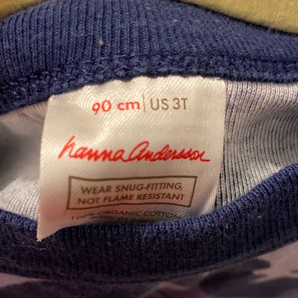 Hanna Andersson Blue Pajama Set - Picture 2 of 2